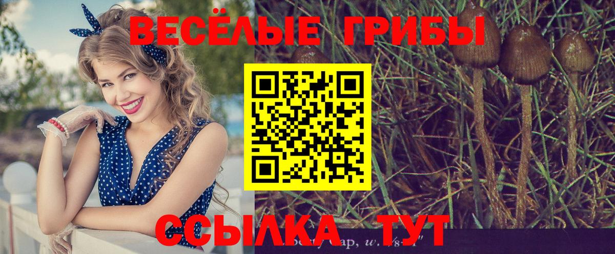 Псилоцибиновые грибы ЛСД Урай
