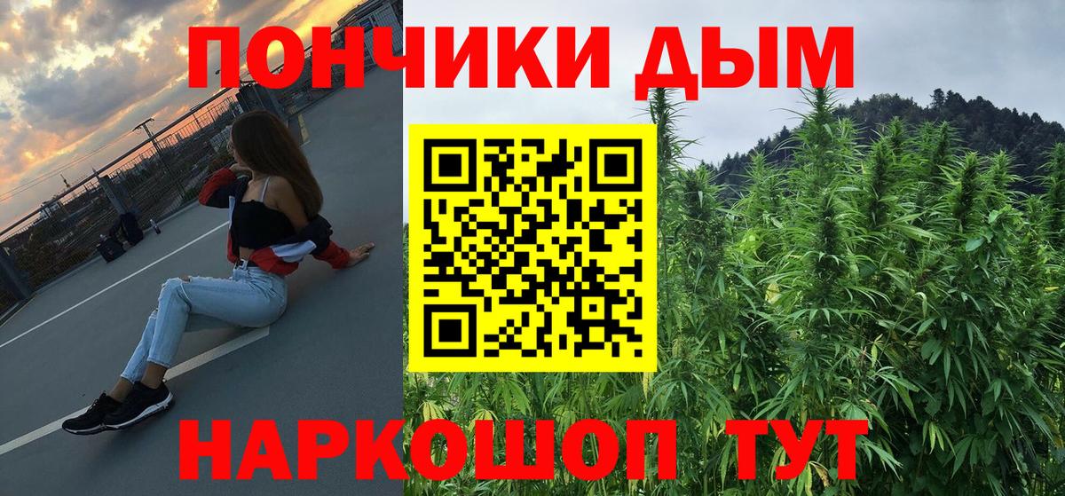 Канабис OG Kush Урай